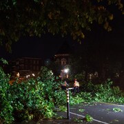 Vue nocturne d'une rue à Québec où des branches d'arbres et du feuillage coupés jonchent le sol. Deux travailleurs vêtus de gilets de sécurité oranges réfléchissants s'affairent au centre de la rue, entourés de débris. 