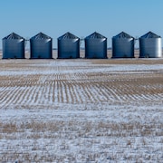 Des silos à grains dans un champ recouvert de neige près de Regina, en Saskatchewan, en novembre 2023.