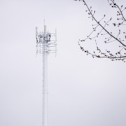 Une tour devant un arbre.