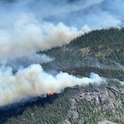 Vue aérienne d'un feu de forêt avec de la fumée.