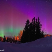 aurore-boreale