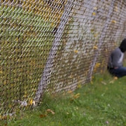 Un adolescent, avec une casquette et la capuche de son chandail sur la tête, est adossé à une clôture, un jour de printemps. L'image est floutée.