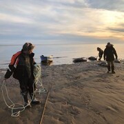 Cédric Mimeault, Rémi Thenevot et Sarah Bergeron revenant de la chasse au phoque, sur la plage de Pointe-aux-Outardes, sur la Côte-Nord.