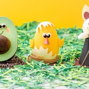 Des chocolats de Pâques. Ils ont la forme d'un avocat, d'un poussin et d'un lapin.