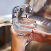 Des mains tiennent un verre rempli d'eau sous un robinet de cuisine. 