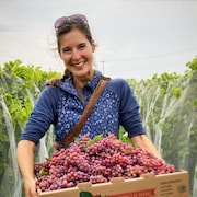 Une femme tient un cageot de raisins dans un vignoble.