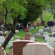 Des pierres tombales dans un cimetière.
