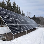 Des panneaux solaires sur un terrain privé près d'une forêt.