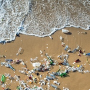 Des déchets de plastique étendus sur le bord d'une plage.