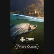 Un poisson pris sur un ameçon sous l'eau.
Le logo de Radio-Canada Info et le titre "Phare Ouest".