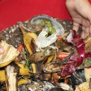 Des mains dans le compost.