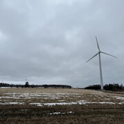 Un champs à Baie-des-Sables, avec un éolienne en marge.
