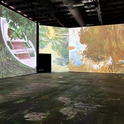 Des projections de tableaux de Claude Monet dans l’exposition immersive « Imagine Monet ».