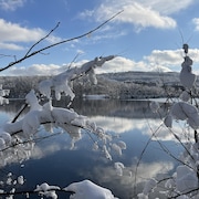 Un paysage hivernal. 