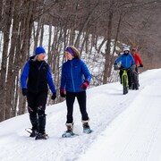 Des sportifs partagent un sentier enneigé en forêt pour pratiquer la raquette, le vélo d'hiver et le ski de fond.
