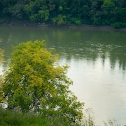 Une rivière à l'eau vert bleu entourée d'arbres. Des feuilles aux arbres.