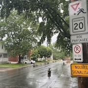 Une rue avec des pots de fleurs.