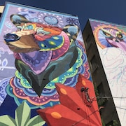 Une grande murale d'un ours et d'un oiseau sur les côtés d'édifices.