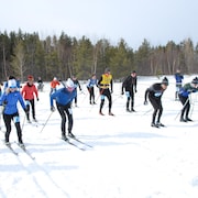 Une vingtaine de fondeurs au départ d'une course de ski de fond.