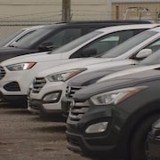 Des voitures sont alignées chez un concessionnaire de Calgary le 7 avril 2025. 