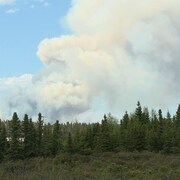 Un feu de fôret