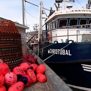 Des pêcheurs de la Côte-Nord doivent naviguer plusieurs heures pour décharger leur cargaison en Gaspésie.