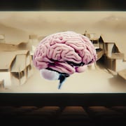 Illustration d'un cerveau projeté à l'écran d'une salle de cinéma.