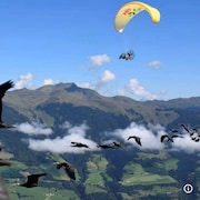 Des ibis chauves en train de voler dans le ciel, avec, en arrière-plan, un petit véhicule à hélice accroché à un parachute jaune.