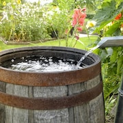 De l'eau, qui coule d'une gouttière, remplit un tonneau fait en bois. Le tonneau est installé dans un jardin fleuri. 

