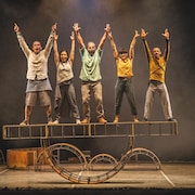 Photo d'un spectacle de cirque : 5 artistes lèvent les bras au ciel
