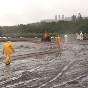 Opérations de nettoyage dans la baie de Sept-Îles à la suite du déversement