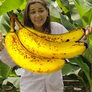 La journaliste Julia Pagé est cachée par une banane.