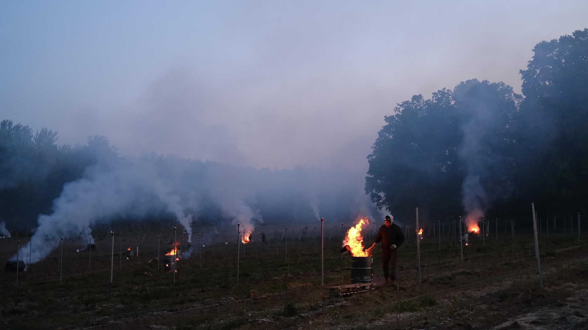 Feu de baril - Brouillard 