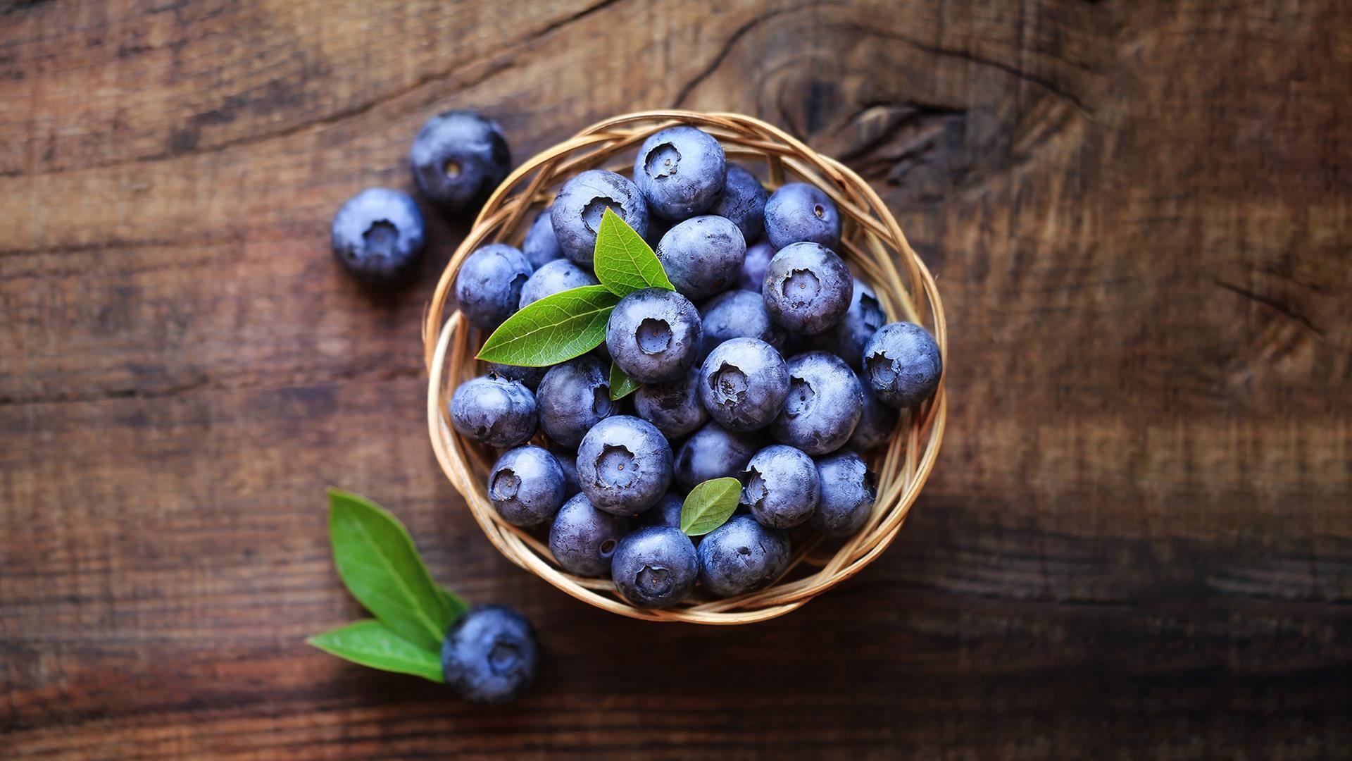 Pouding aux bleuets Mordu