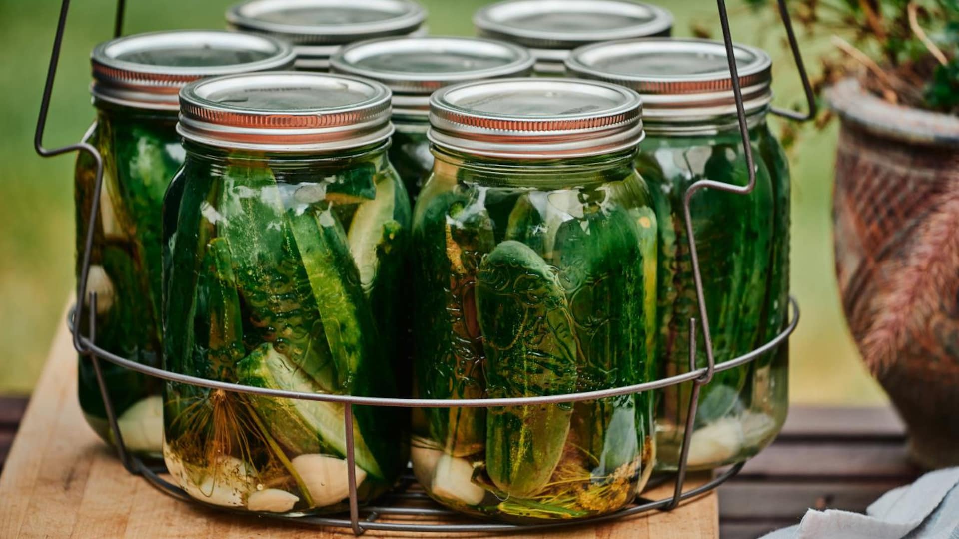 Cornichons de la famille Champagne Mordu