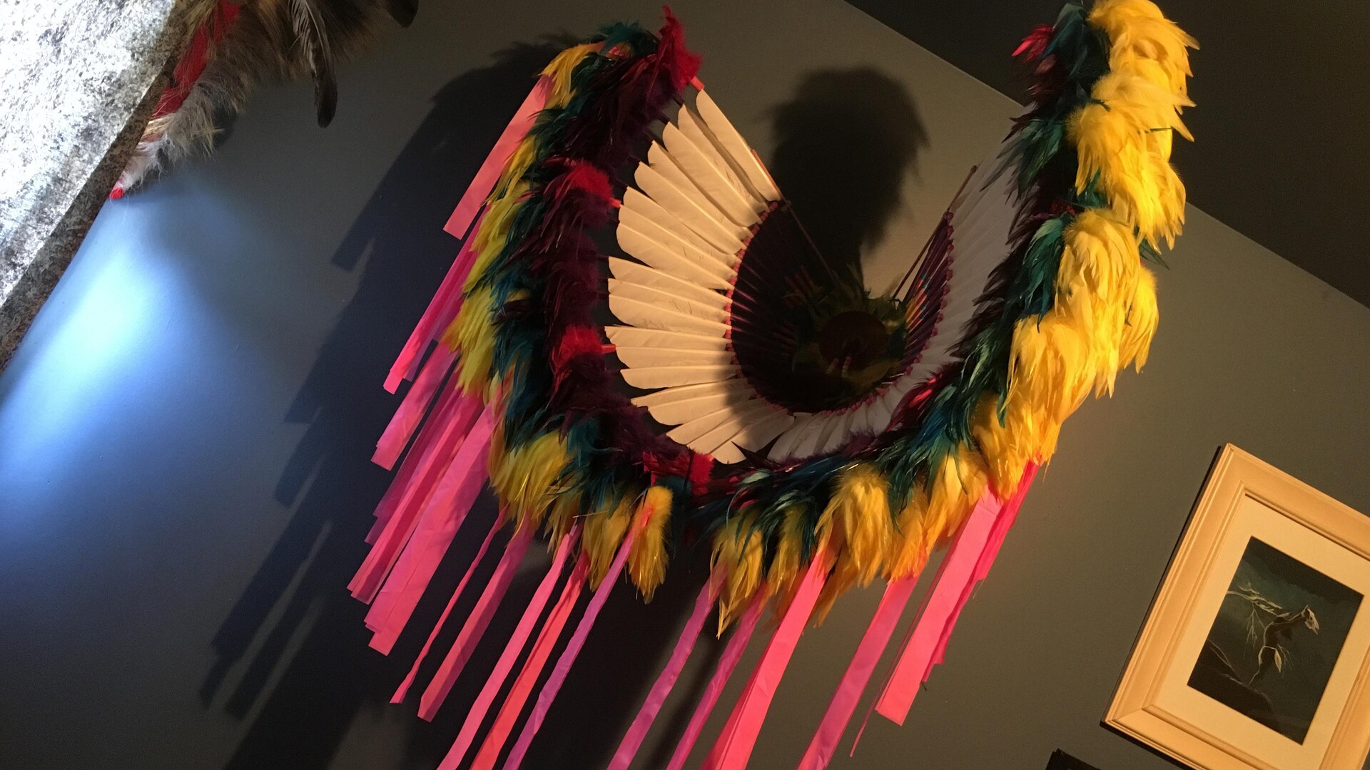 Une régalia en plumes sur le mur Une régalia en plumes sur le mur