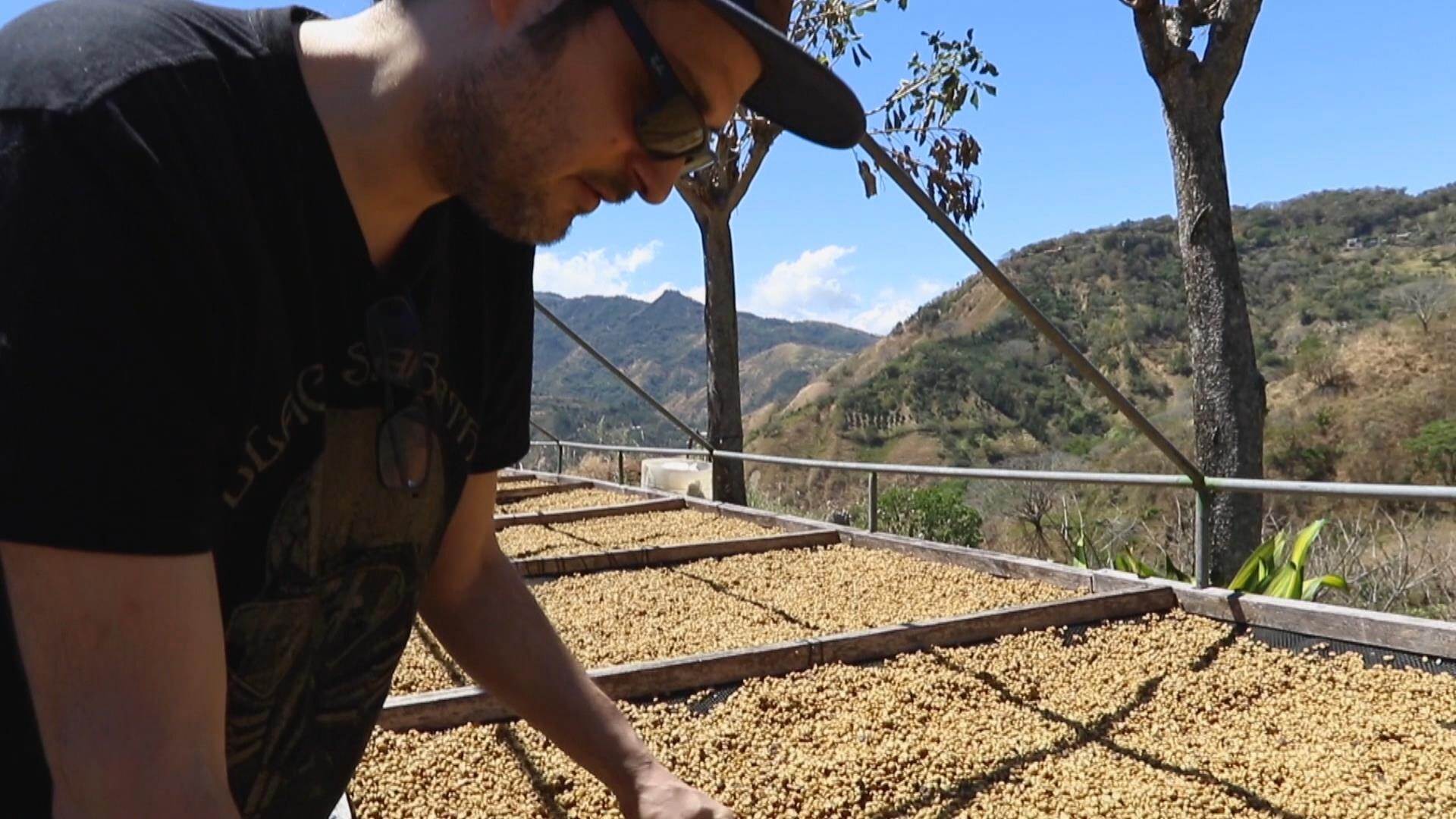 Simon Fabi manipule des grains de café avant la torréfaction au Costa Rica. 
