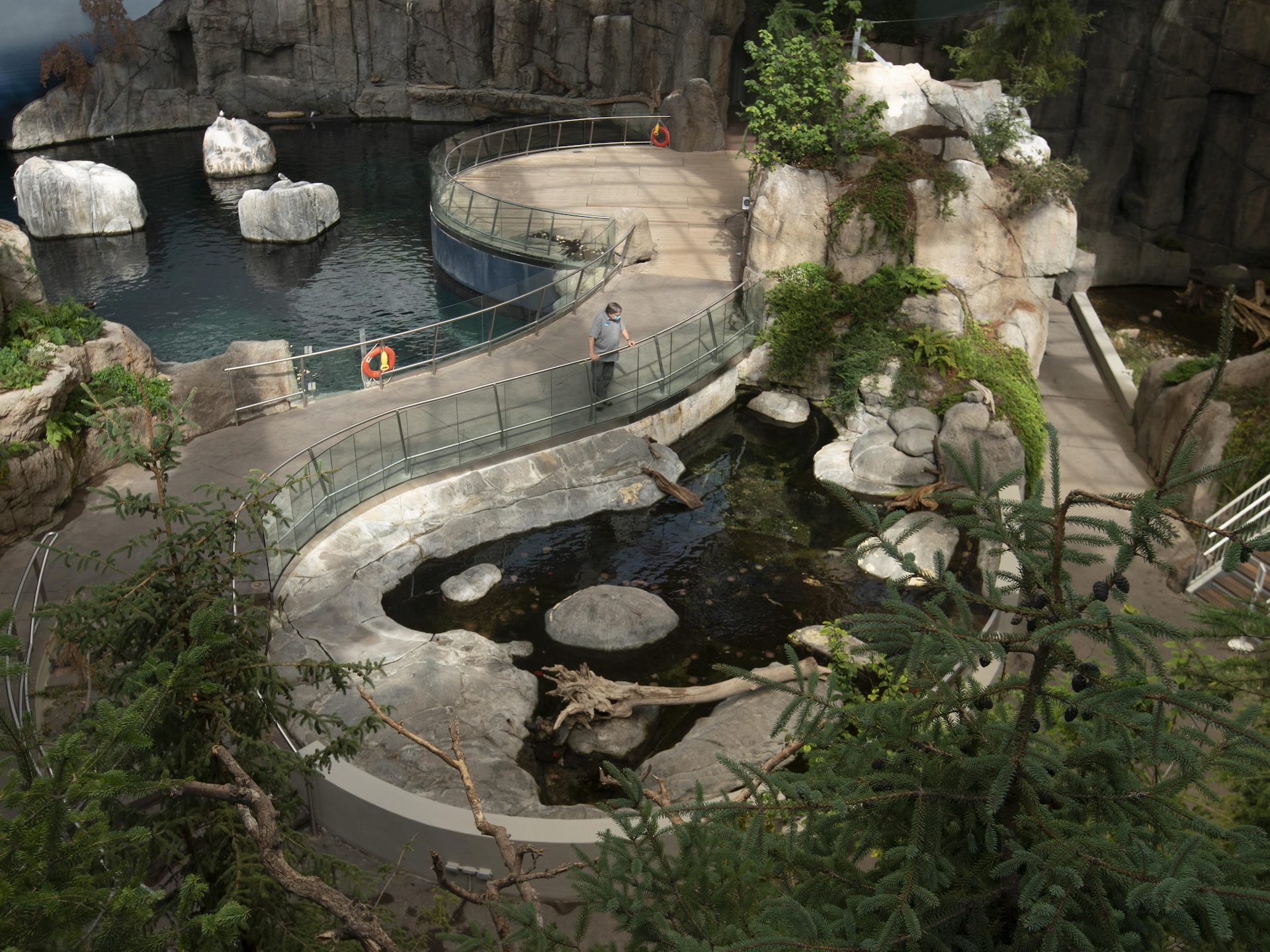 Le Biodome De Montreal Accueillera Des Visiteurs Lundi