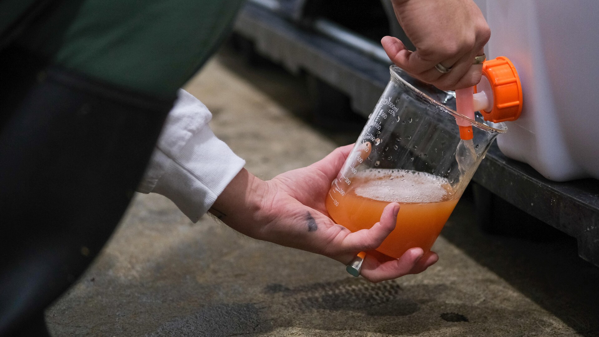 Du jus de pomme coule dans un récipient de verre. Du jus de pomme coule dans un récipient de verre.
