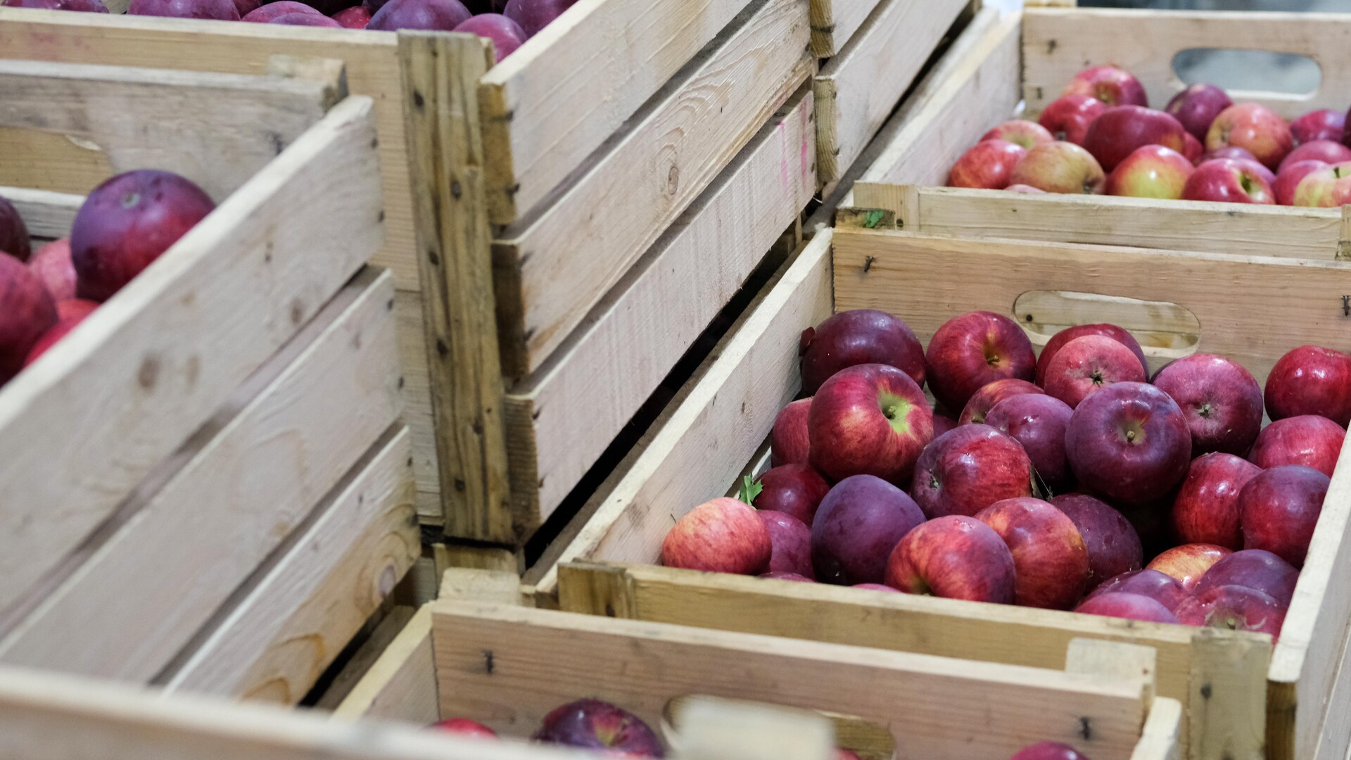 Des pommes rouges dans des minots de bois. Des pommes rouges dans des minots de bois.