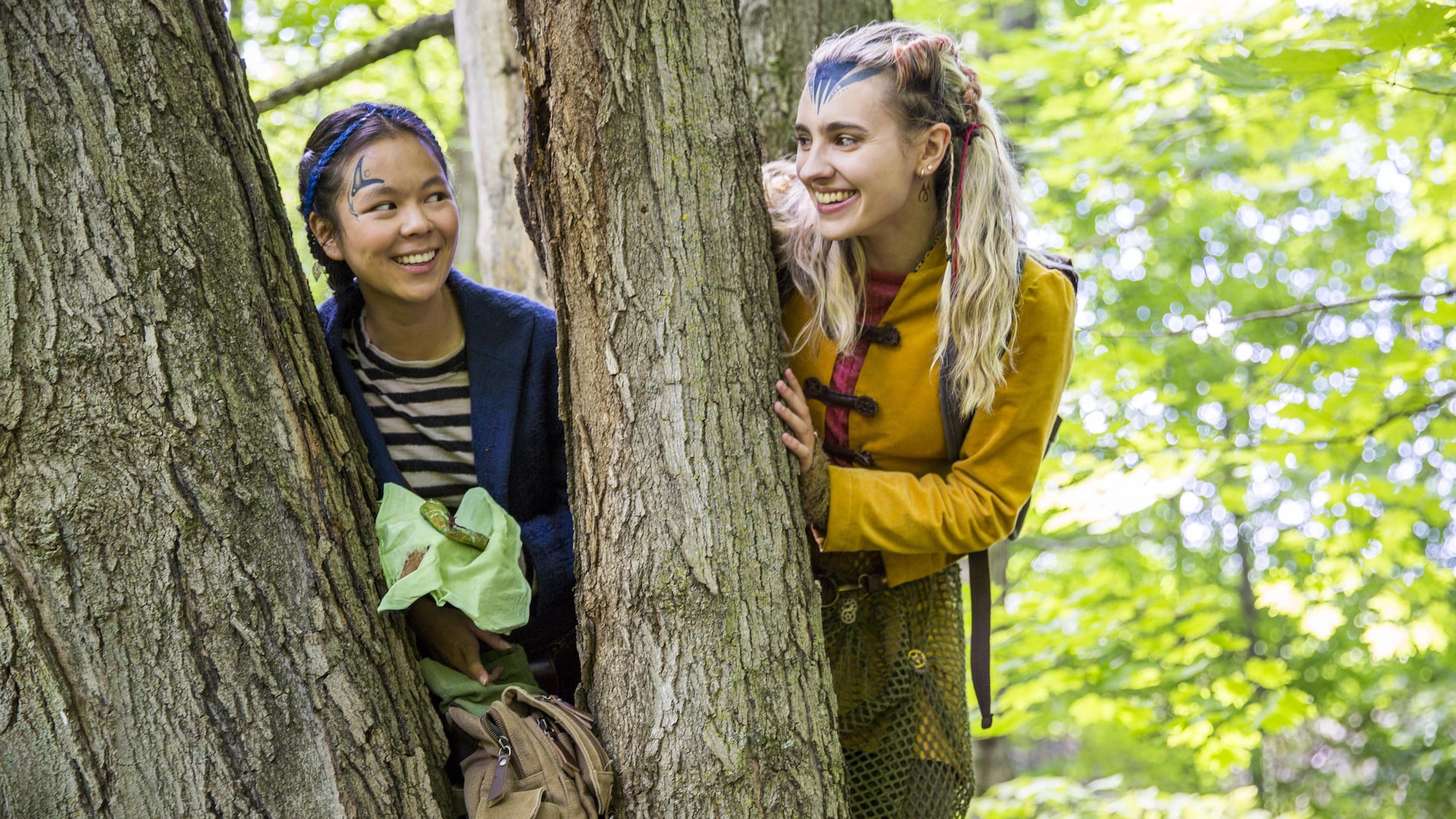 Elles se regardent, les deux perchées dans un arbre. 