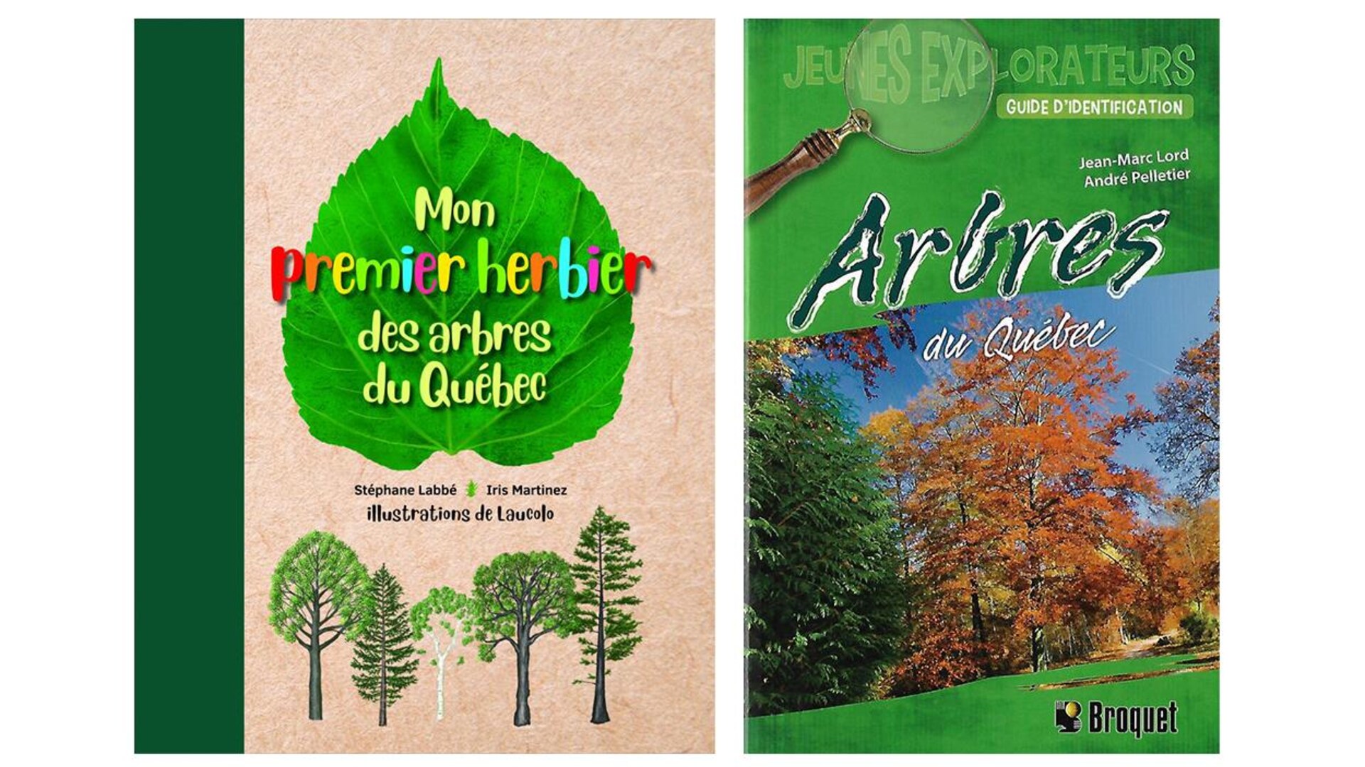 Deux livres jeunesse sur la nature et les arbres
