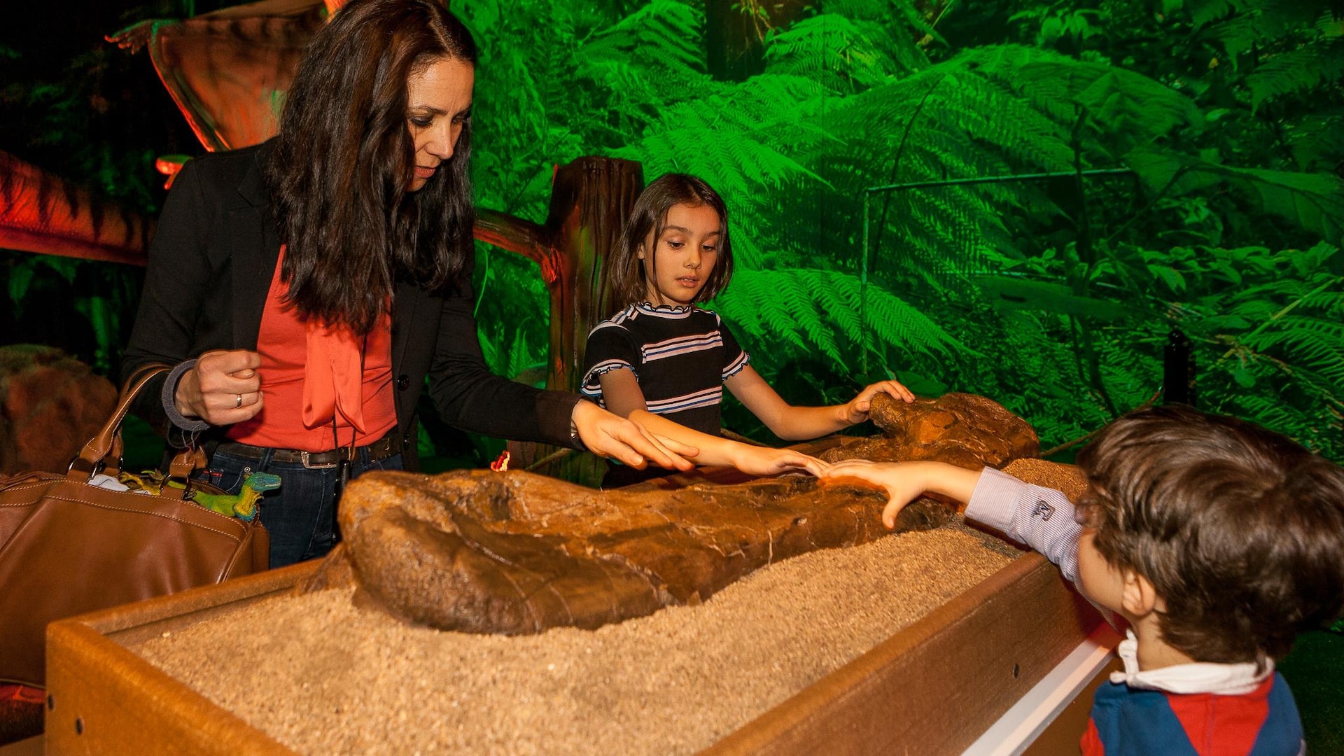 On voit deux enfants et leur maman toucher un fossile