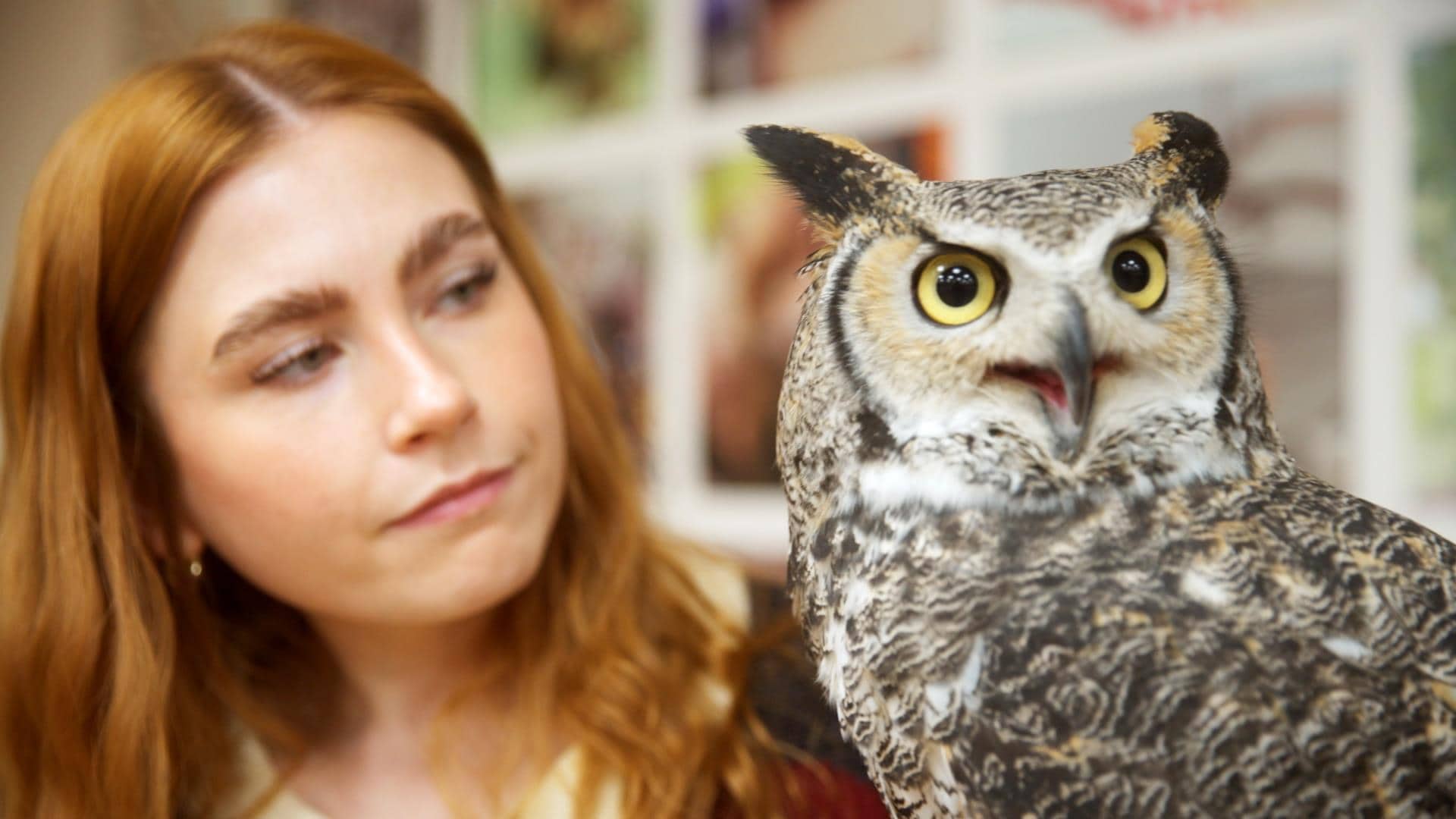 Parents | HERE Radio-Canada.ca