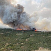 Un panache de fumée s'échappe d'une forêt en flammes dans la région de High Level, dans le nord-ouest de l'Alberta, le vendredi 3 juin 2022.