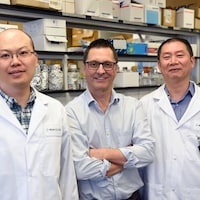 Trois chercheurs dans un laboratoire.