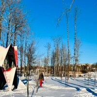 Des gens patinent à travers les arbres.