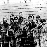 Photo de jeunes prisonniers juifs d'Auschwitz derrière des barbelés lors de leur libération.