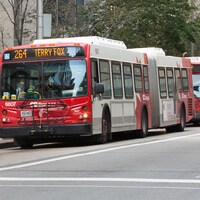 Quatre autobus d'OC Transpo dans une rue non précisée d'Ottawa.