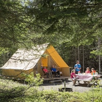 Une tente luxueuse et une famille qui pique-nique dans la forêt.